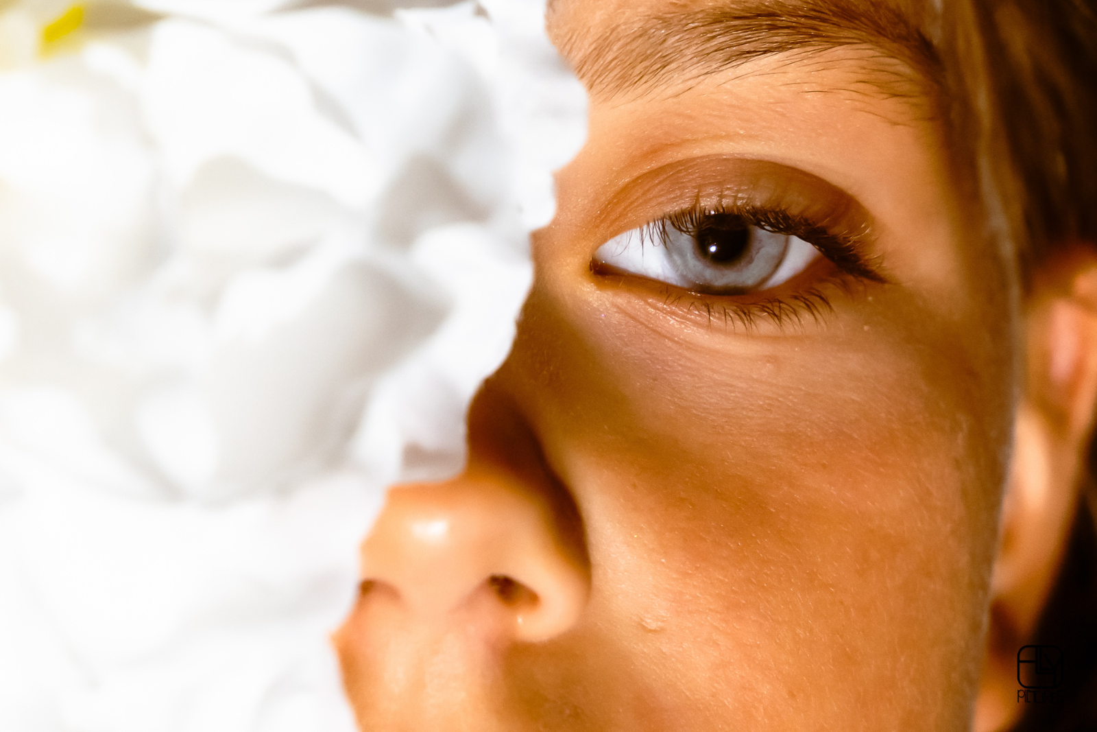 Design sans titre(32)